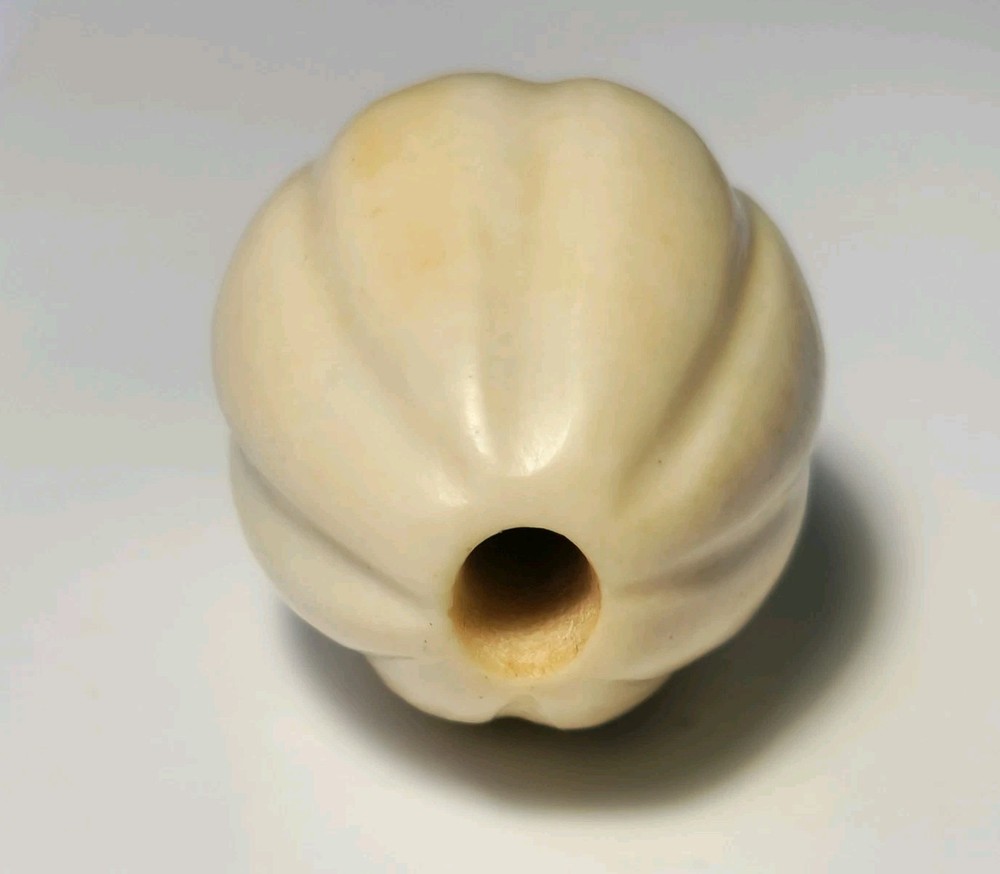 ANCIENT LARGE WESTERN ASIAN SHELL MELON SHAPE BEAD (29mm x 20.5mm)