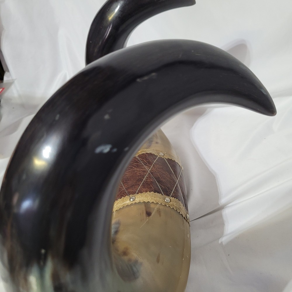 Buffalo Horn Wall Mount Decor 19x13