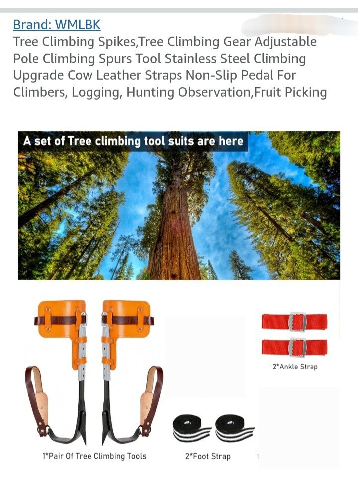Tree Climbing Spurs Steel