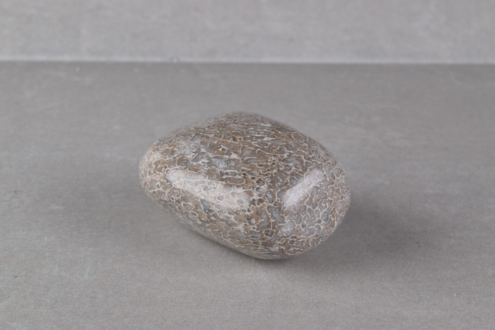 Dinosaur Bone Polished from Morocco 4.2 cm # 19756