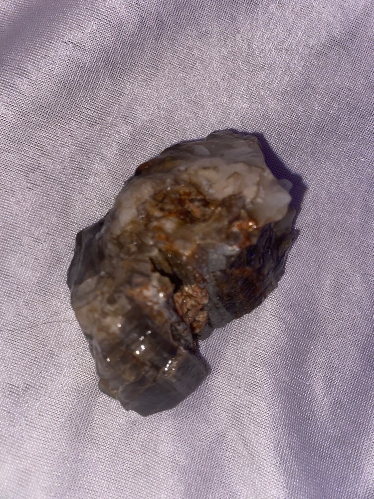 Petrified Wood