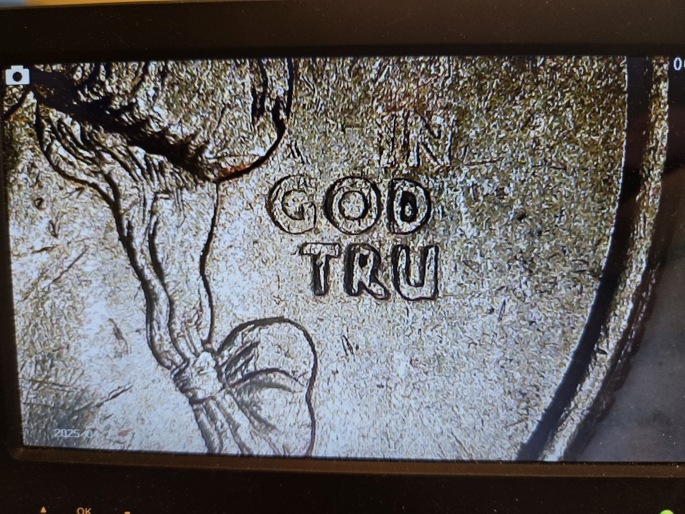 South Carolina - 2000-? - Strike-Through-Grease-Error - "In - God - Tru"