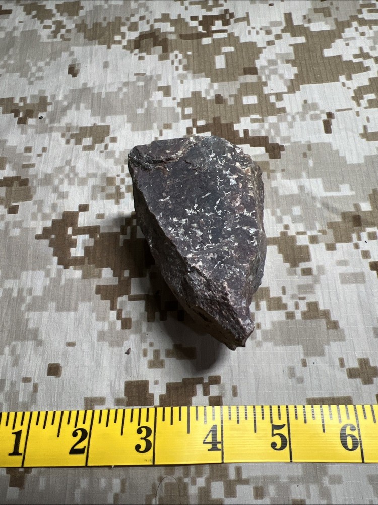 Fossil T-Rex Bone Fragment