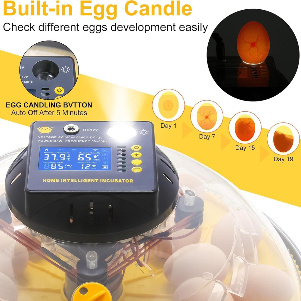 Smart 12‑Egg Incubator with Auto-Turn, Temp/Humidity Control & App/Bluetooth