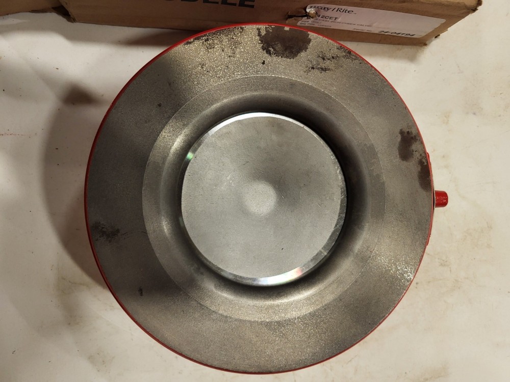 Bray/Rite Check Valve 6" VO61CET. Qty2