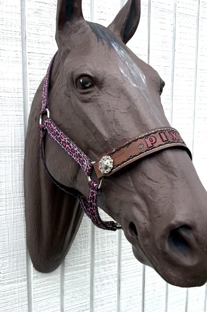 Personalized Nylon Horse Halter Pink Cheetah