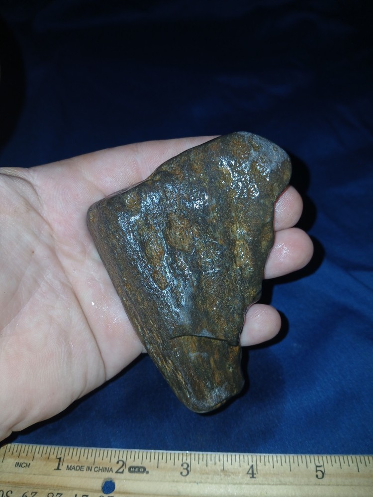 5. oz Texas Petrified Wood