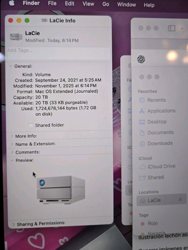 Lacie 2big Dock Thunderbolt 3 Professional RAID Storage 20TB