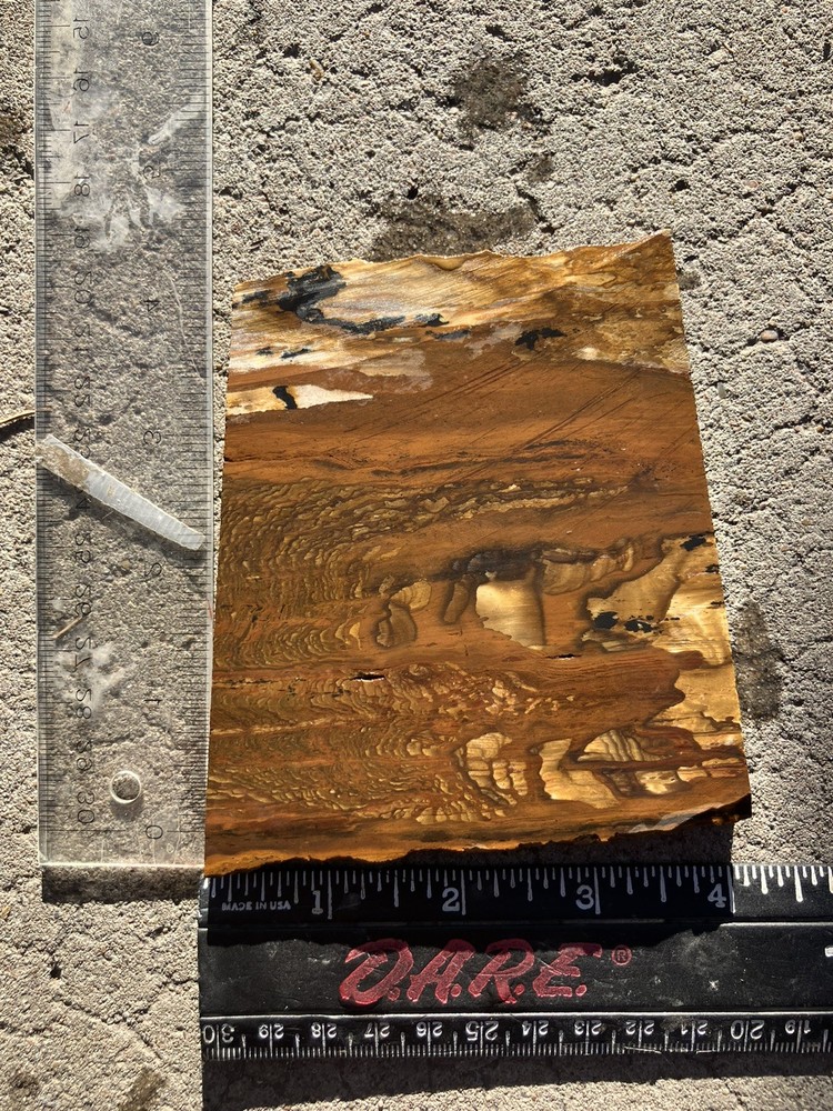 Biggs Jasper Slab (Oregon)