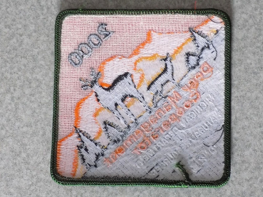 2000 MICHIGAN DNR SUCCESSFUL DEER HUNTER PATCH 3¾" x 3¾"