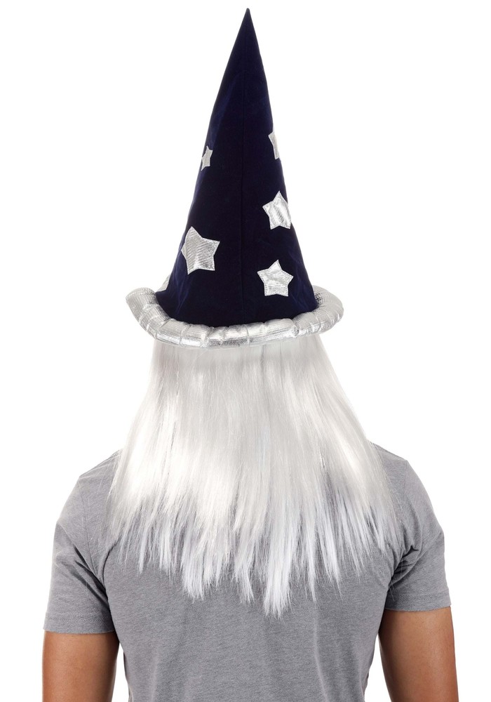 Merlin Wig and beard Costume Kit