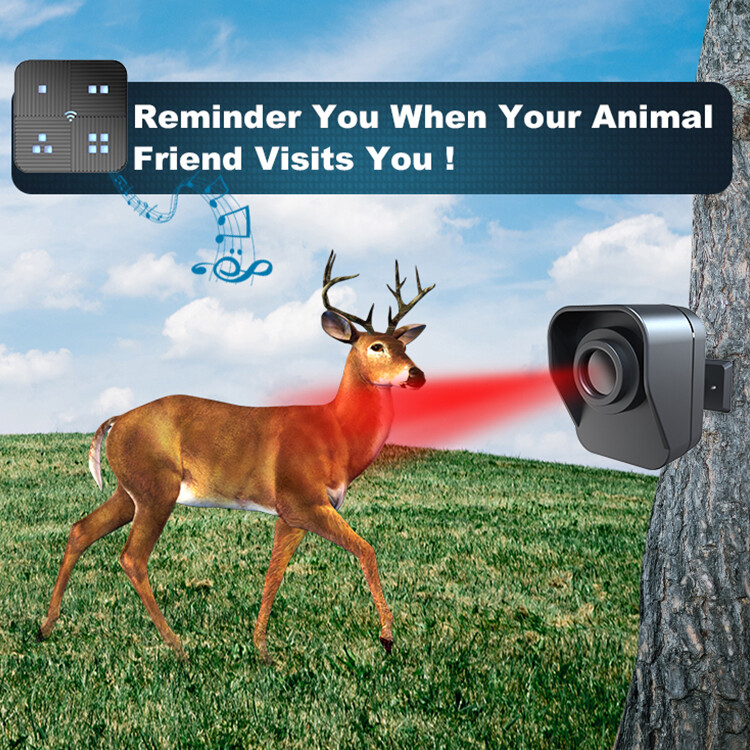 Wireless Solar Driveway Alarm Sensor Security System Receiver+Sensor Plug&Play