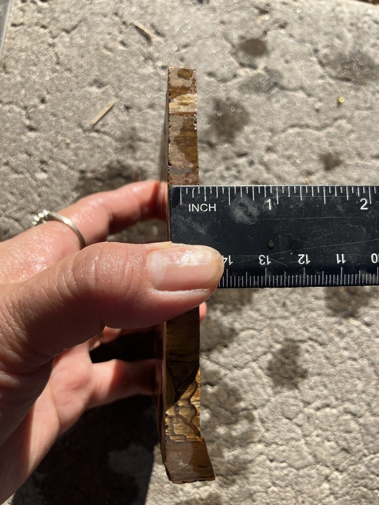 Biggs Jasper Slab (Oregon)