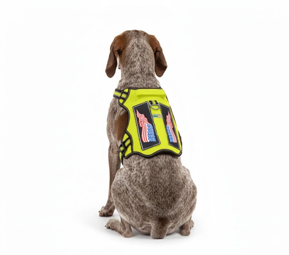 . Premium No-Pull Tactical Dog Harness with Adjustable Straps Soft Padded Des...