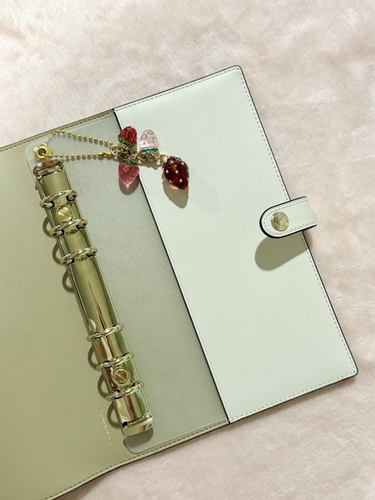 CLEAR INSERT / GOLD RINGS | COACH Notebook Binder Transition Insert