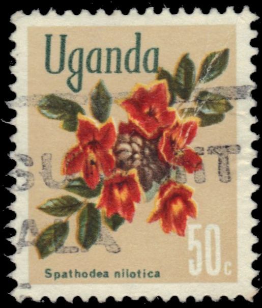 UGANDA 121 - Flowers "Spathodea nilotica" (pb37450)