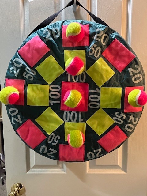 Poolmaster Target & Catch Game #72739