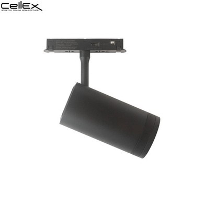 Ceilex 10W Black Adjustable Magnetic Focus Spot Light (Zigbee + 3CCT)