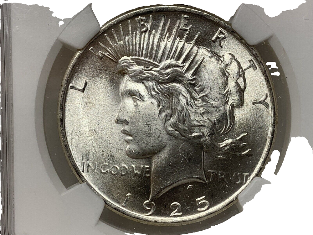 1925-P 1$ SILVER PEACE DOLLAR BLAST-WHITE NG MS-65