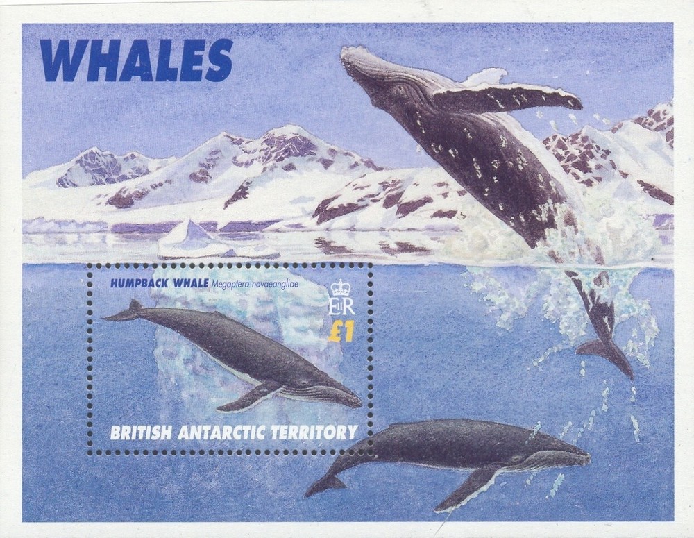 British Antarctic Territory Scott # 248 MNH