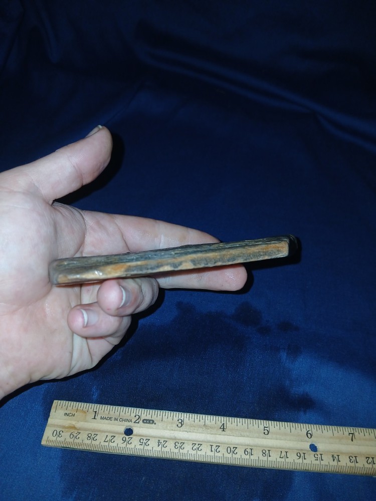 6.5 oz Texas Petrified Wood