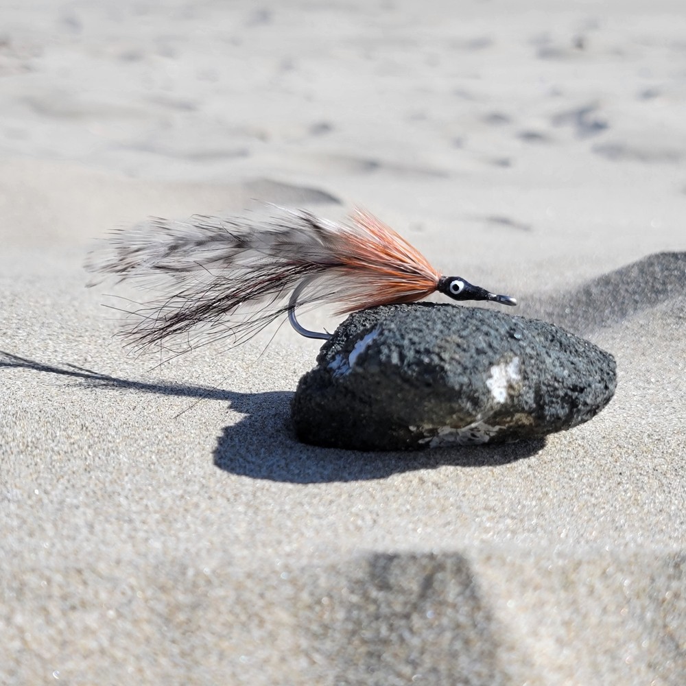 Tarpon Cockroach | Size #4/0