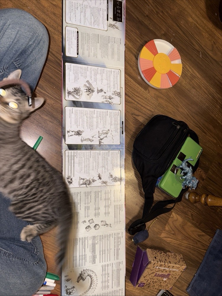 D&D Everything You Need To Get Started Playing