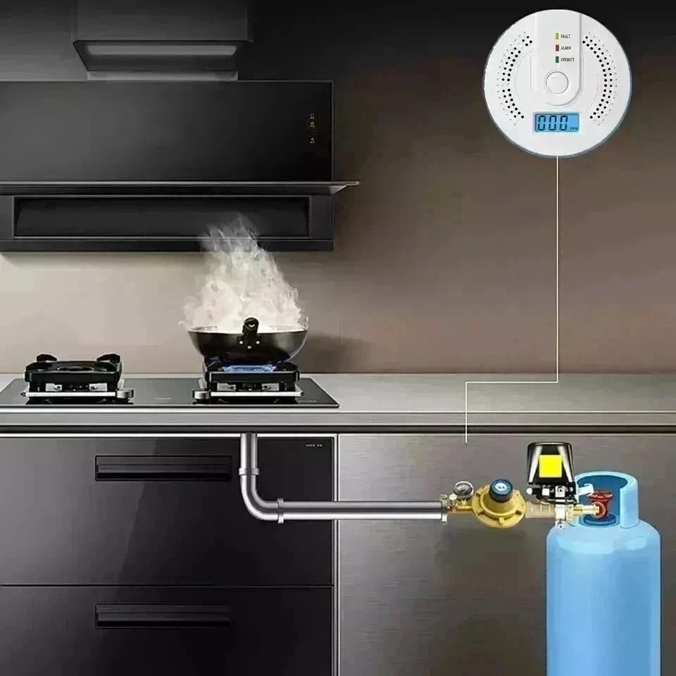 Carbon Monoxide Detector Warning Alarm Sensor LED Digital Battery Powered