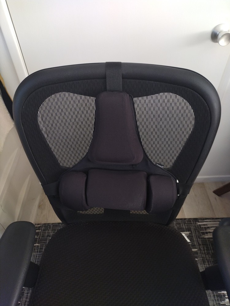 Fellowes Professional Series Back Support Black 8037601