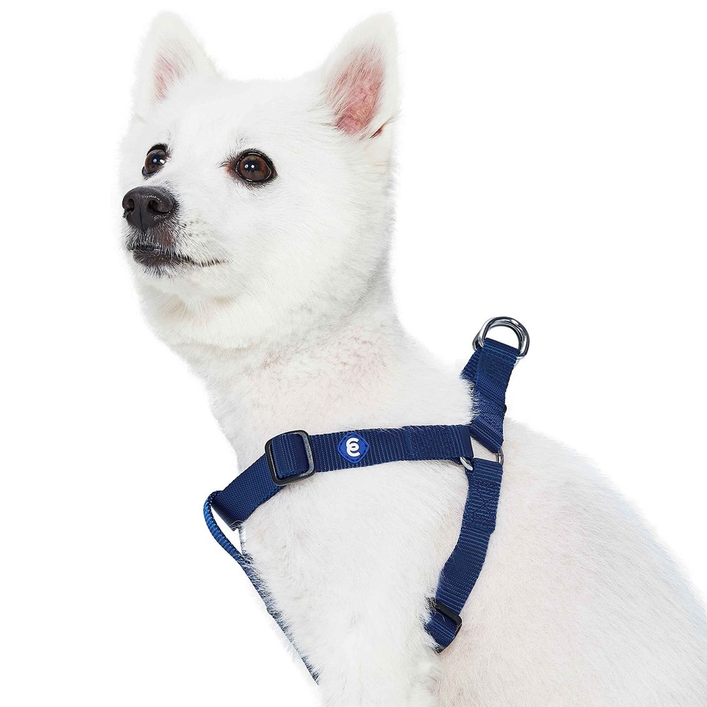 Blueberry Pet Essentials Step-in Dog Harness, Medium Size | Adjustable True N...