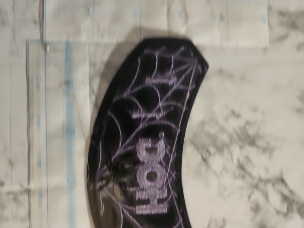 2011 HOG Harley Owners Group Jacket Vest Patch Spider 🕷 Web SHIPS FREE