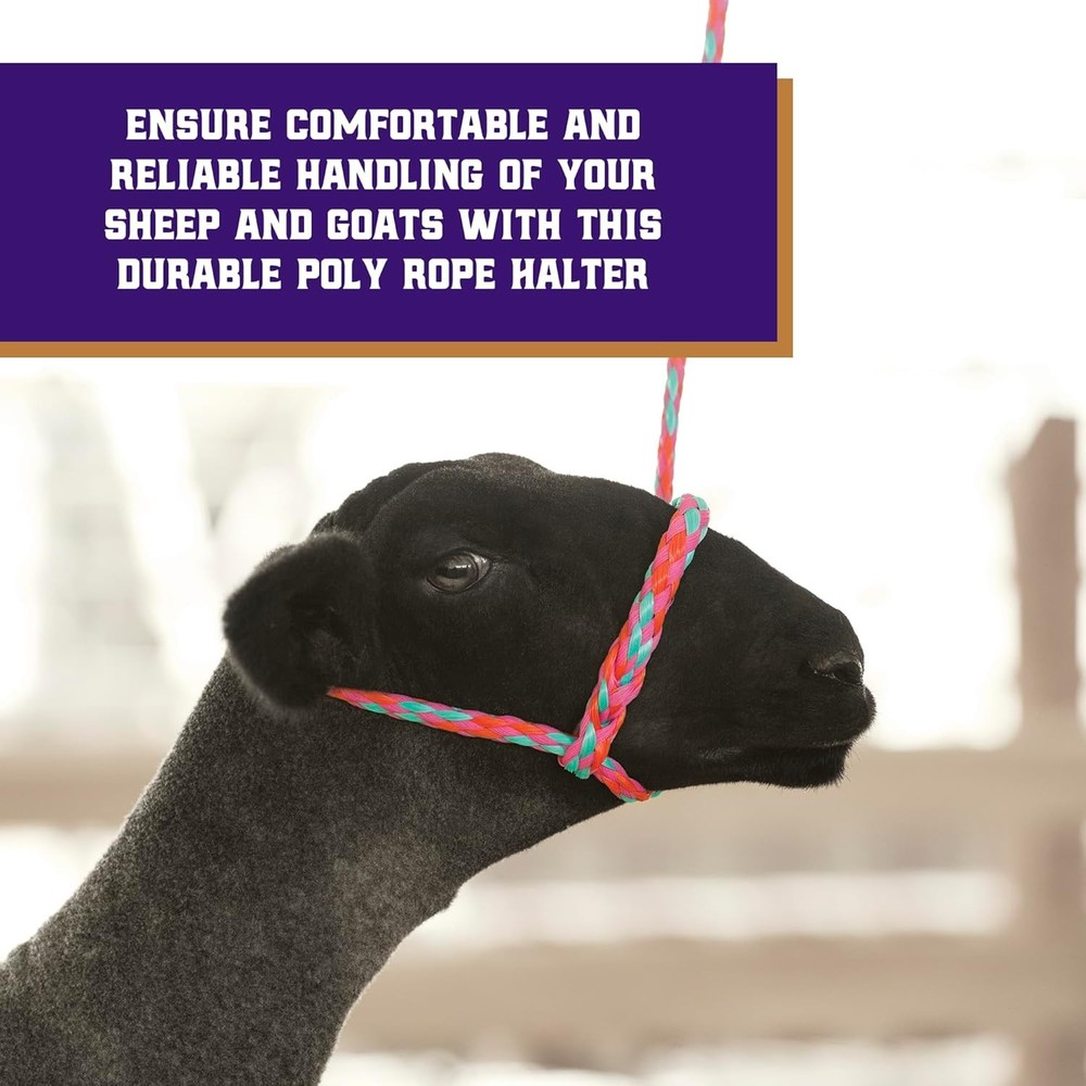 Weaver Braided Poly Rope Halter 4ft Adjustable Soft Sheep Goat