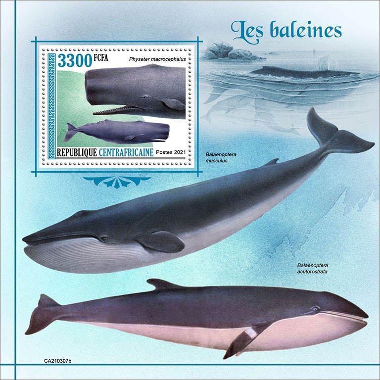 Whales