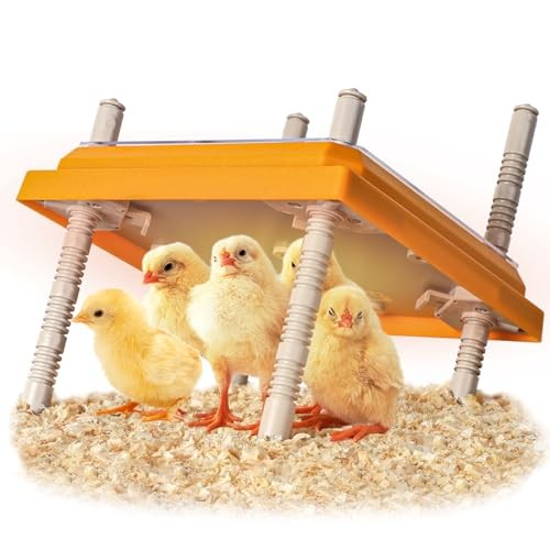 Brooder Heater for Chicks, 10" x 10" for 15 Chicks Heating Plate with 1Pack
