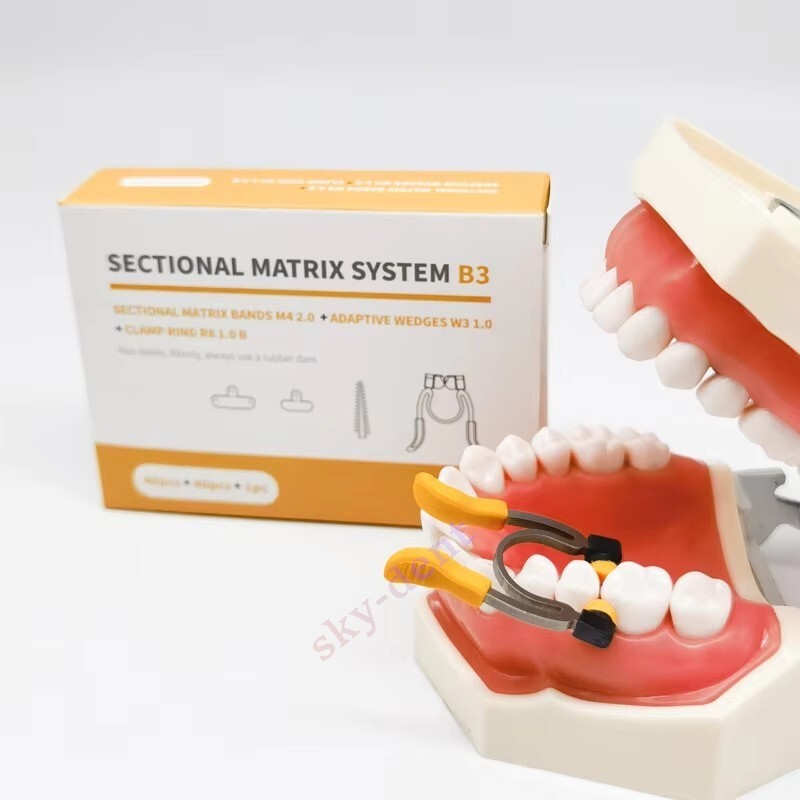 Dental Matrix Bands Paediatric Matrices Clamp Ring Sectional Matrix System+Wedge