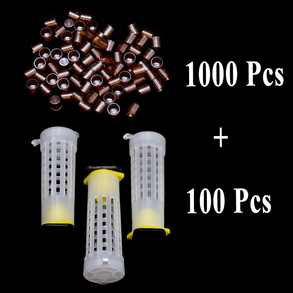 1 SET Beekeeping Tools Queen Rearing System Cultivating Box Protective Cage