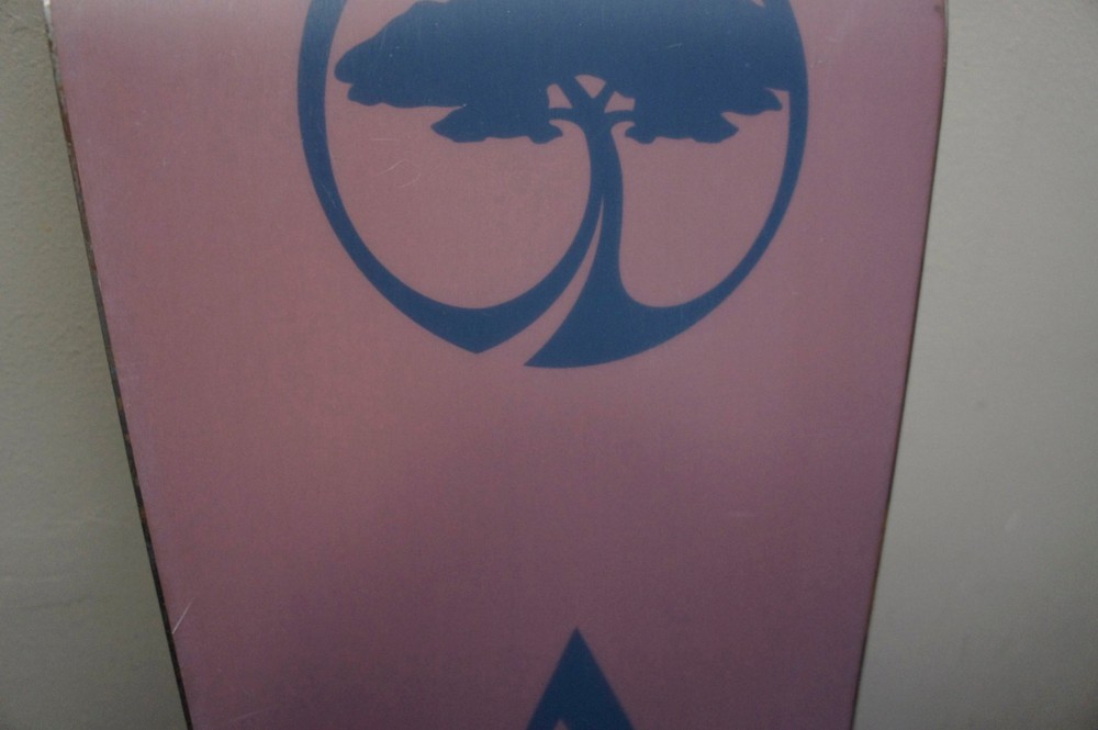 Rode ONCE Arbor Element Rocker black 162cm snowboard 2019/2020?