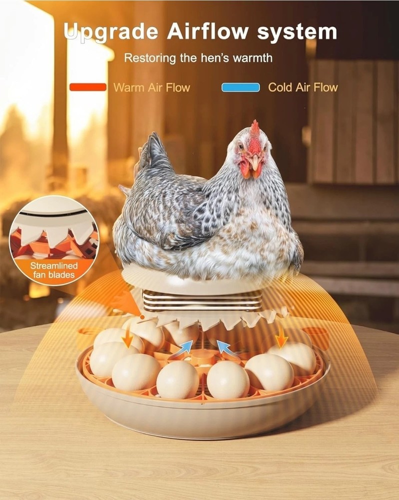 Innsky Incubators for Hatching Eggs,12 Egg Incubator with Automatic Egg...
