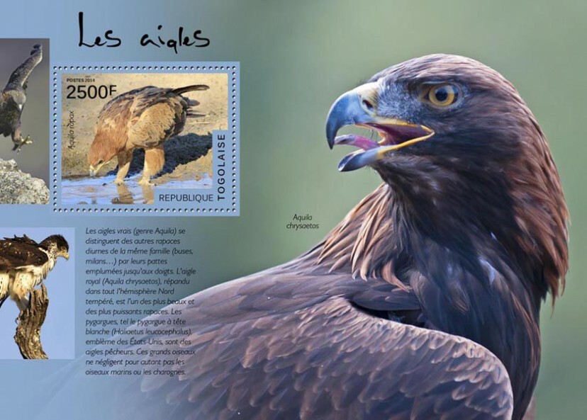 2014 TOGO MNH. EAGLES. Yvert&Tellier Code: 890  |  Michel Code: 6130 / Bl.1046