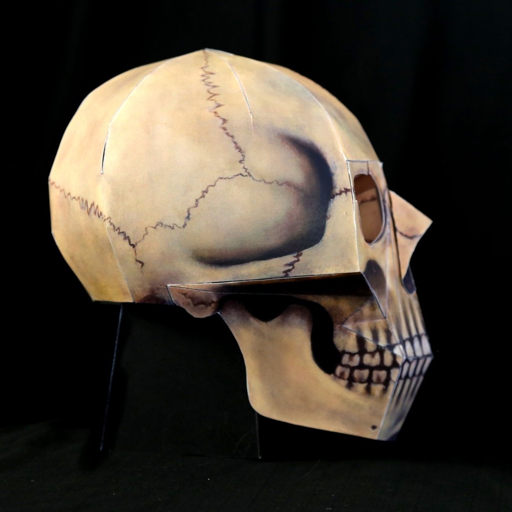 Human Skull paper model