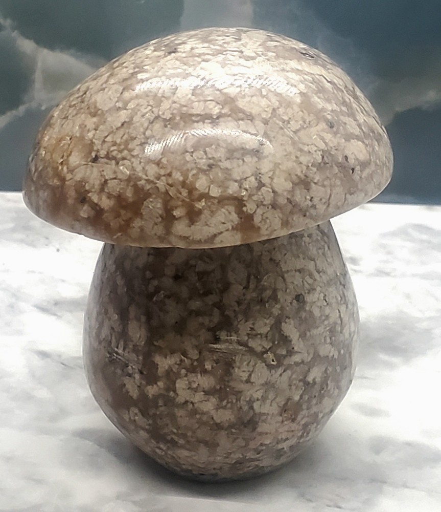 2.8 Inch Large Ocean Jasper Mushroom Carving