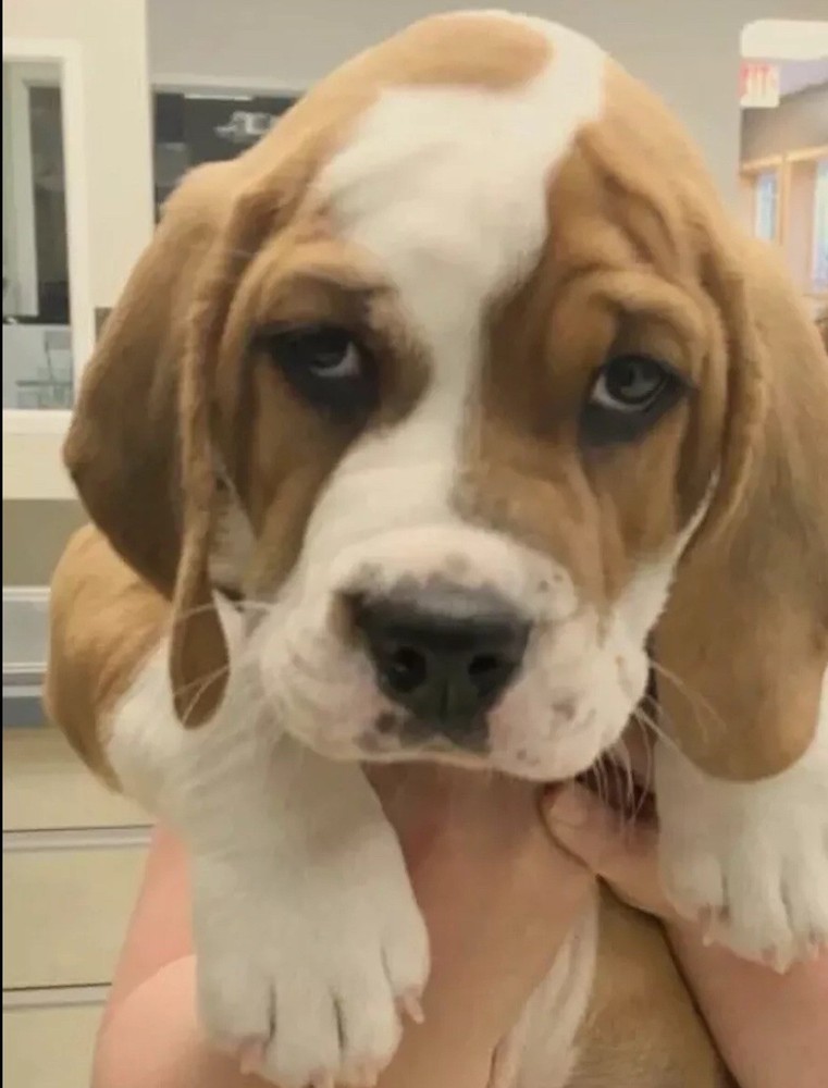 Ocean Forest 1-1/4” Golf Ball Marker