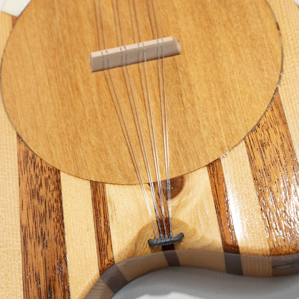 Tahitian Ukulele Banjo 8-String + Bag - Great Condition!