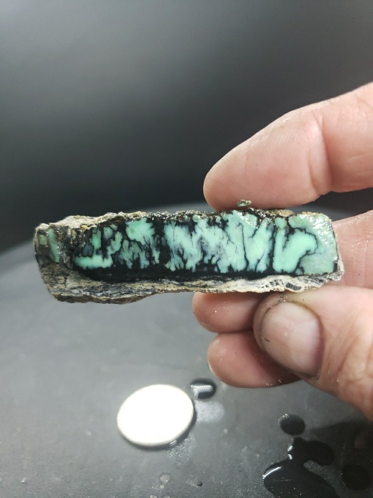 Nevada Saguaro Variscite Slab