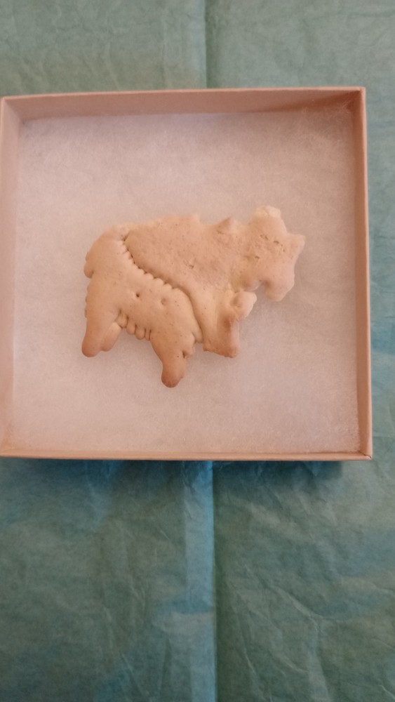 Animal Cracker shaped like Switzerland- EXCLUSIVELY UNIQUE