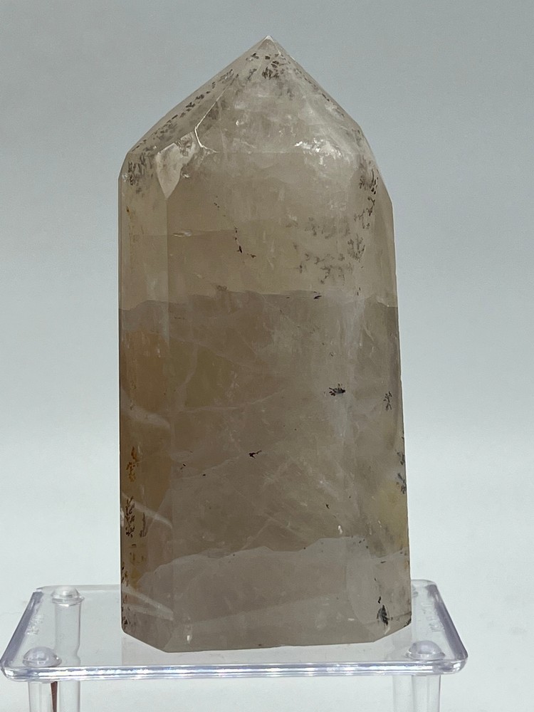 Dendritic Quartz I