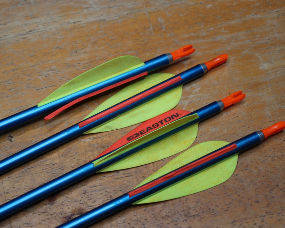 Genesis Mini Compound Bow Arrows Used