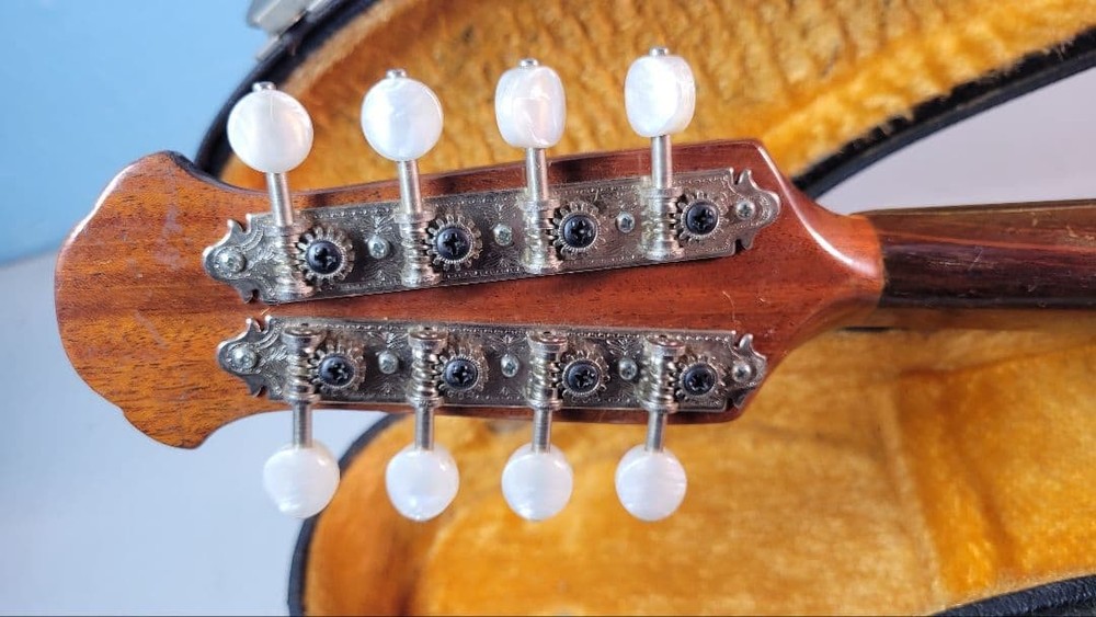 Wooden archtop handicraft mandolin 8 strings with case