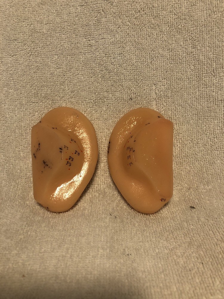 Vtg Human Ear Acupuncture Model w/Acupuncture Points