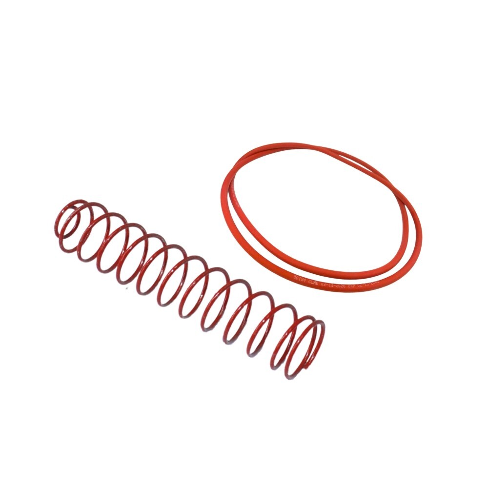 017959F Raypak 206/407 Inlet/Outlet Header Complete ProTek Shield